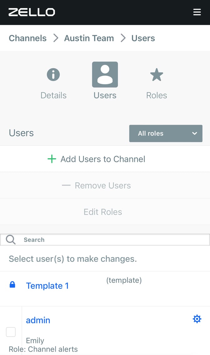 12 users ui