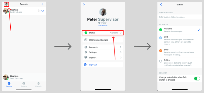 Change your status (iOS)