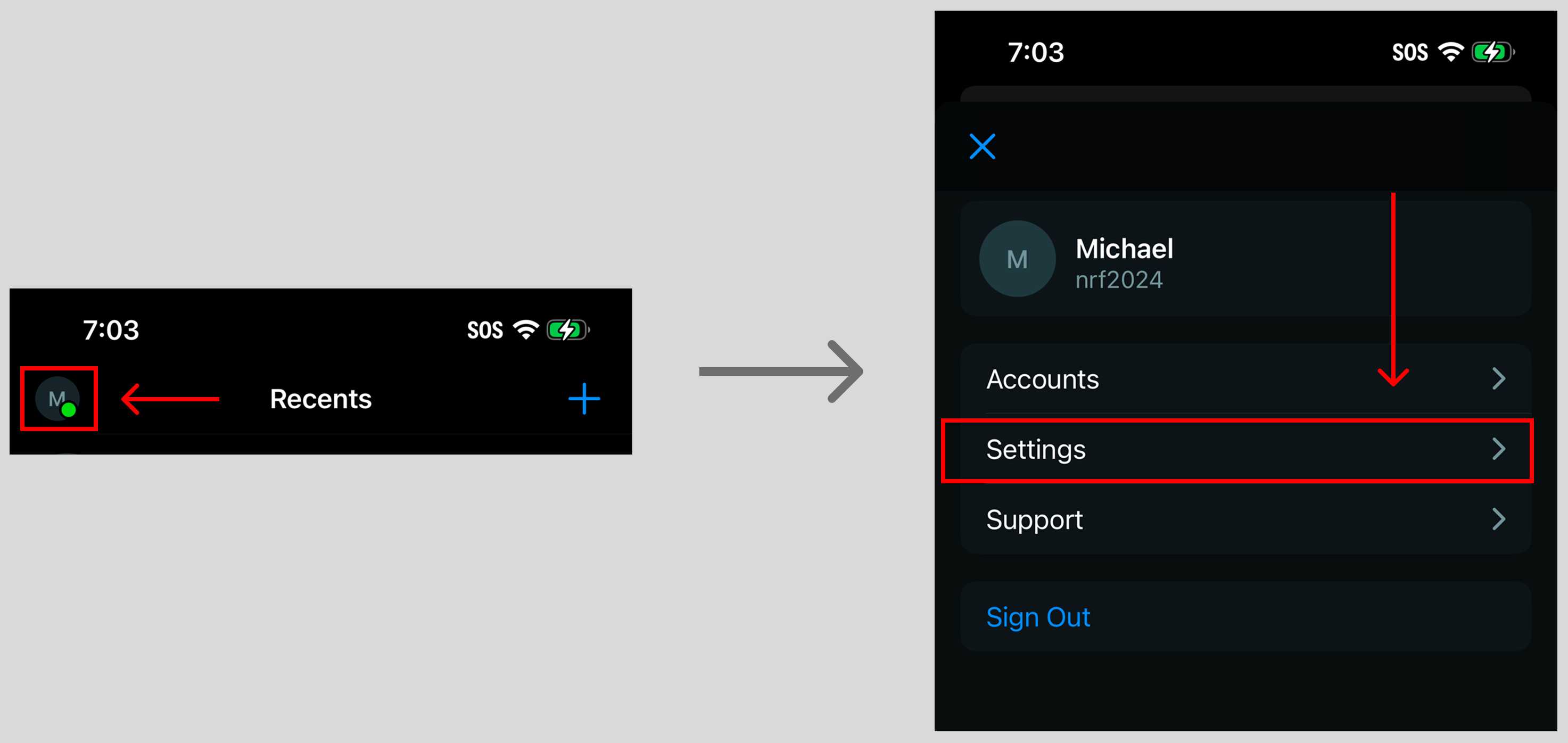 Zello app user icon and Settings